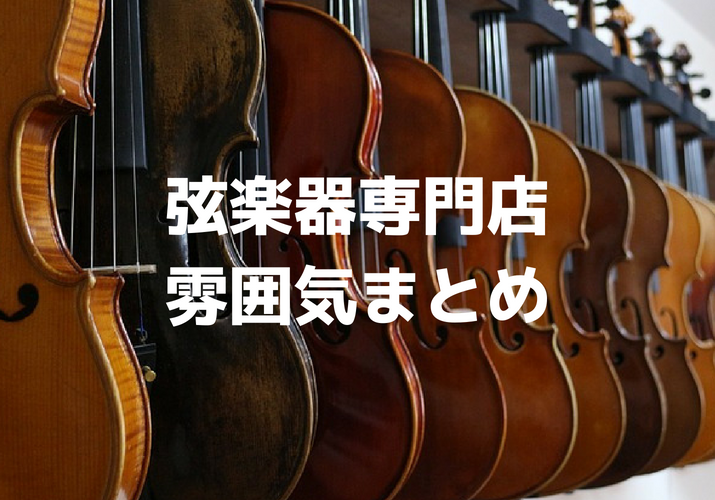 東京 バイオリン ビオラ チェロを販売する弦楽器専門店の雰囲気まとめ Strings Academy