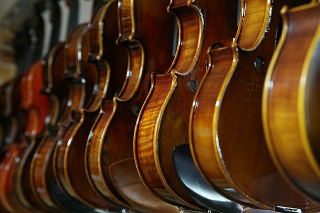 東京 バイオリン ビオラ チェロを販売する弦楽器専門店の雰囲気まとめ Strings Academy